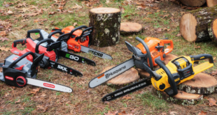 Top Chainsaw Brands Review: Cutting Through The Competition In 2024