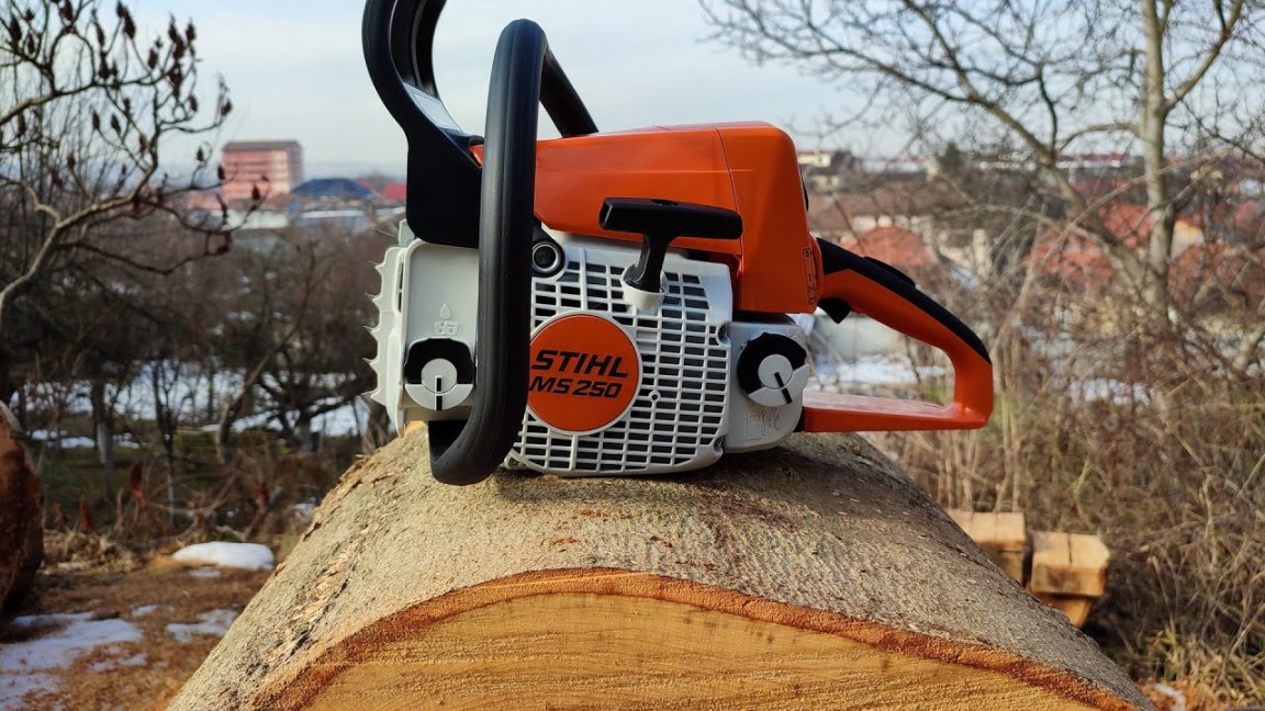 Legendary Stihl MS  chainsaw - first start, first cuts, big wood test,  factory rpm and more !!!