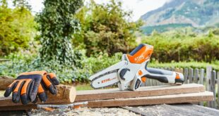 Stihl GTA 26 Chainsaw Review: Powerhouse Pruner Or Overpriced Toy?