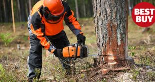 Best Budget Chainsaw Review: Top Picks For Cutting Costs Without Compromising Power