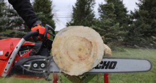 Biggest Echo Chainsaw Review: Unleashing The Power Of The CS-7310