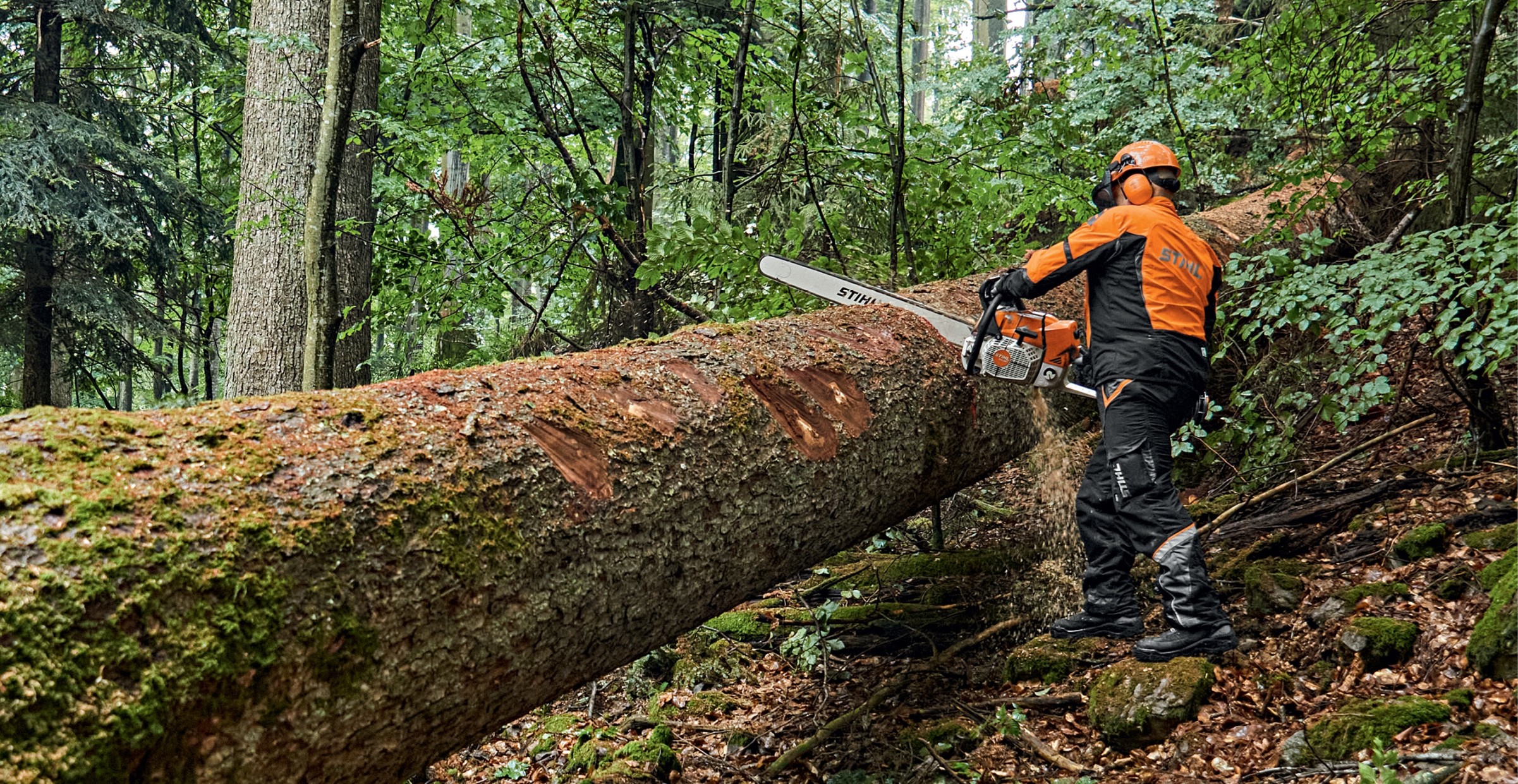 Stihl MS 881 Chainsaw Review: Cutting Through The Hype (2024 Update)