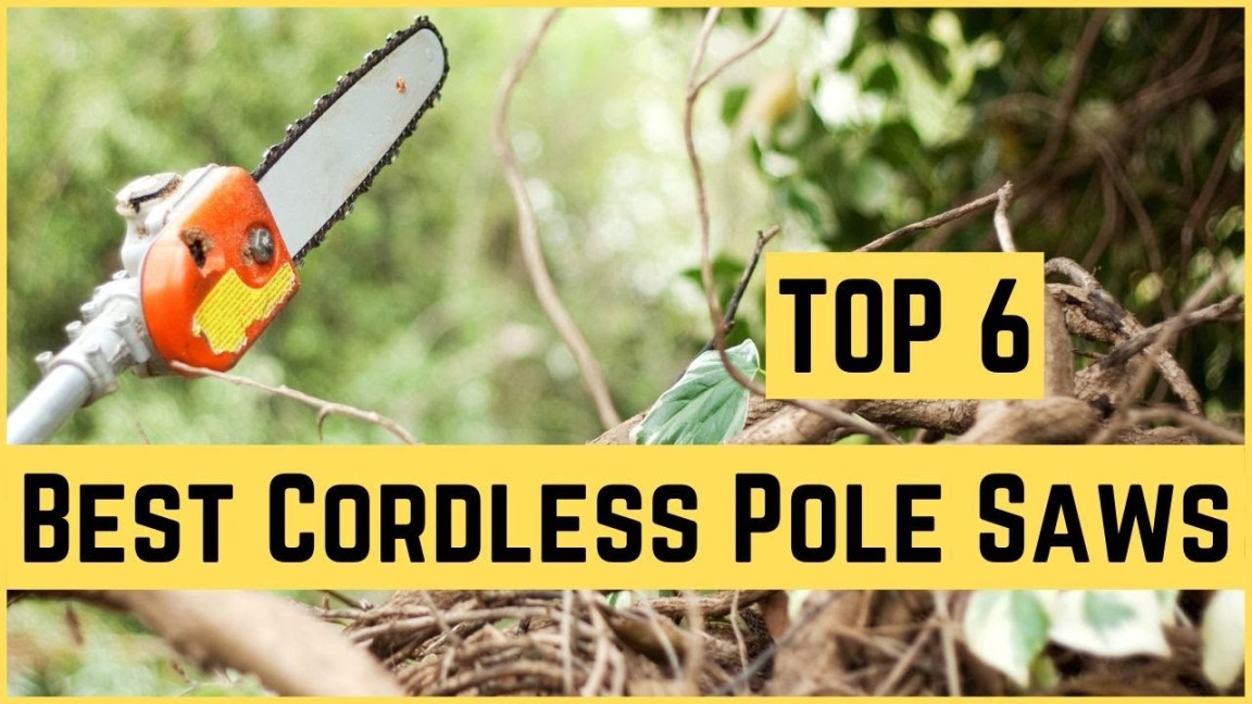 ✅ Pole Saw:  Best Cordless Pole Saws (Buying Guide)