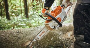 Stihl Chainsaw Lineup Review: Picking The Perfect Saw For Every Task