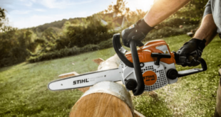 Stihl Chainsaw 18 Inch Price Review: Cutting Through The Options For Homeowners