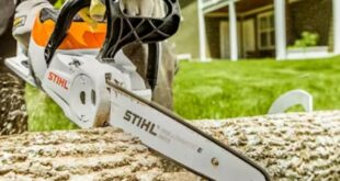 Stihl Battery Chainsaw Price Review: Cutting Through The Costs