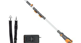 Worx Battery Powered Pole Saw Review: Cutting Through The Hype (2024 Update)